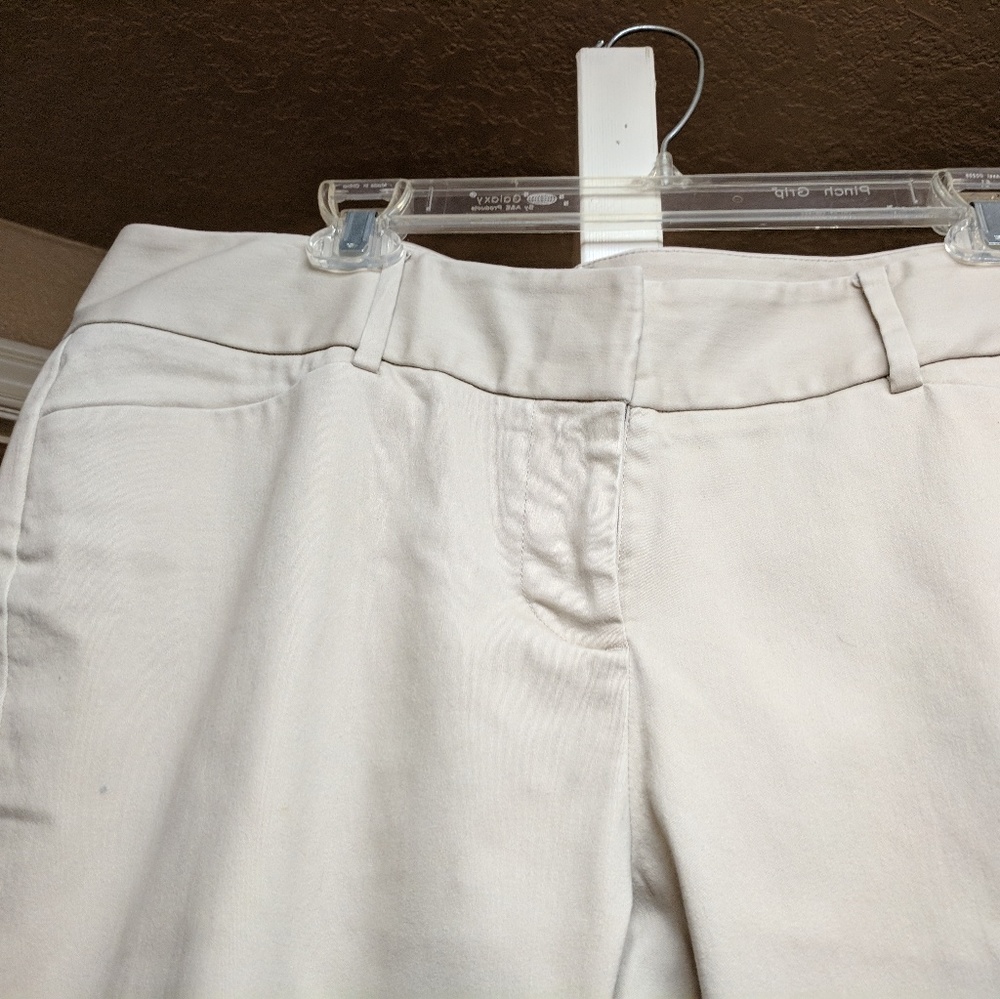 The Limited flat front ankle pants Sz. 14